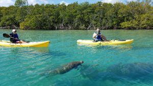 a group of people riding on the back of a boat in the water