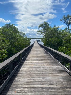 pecks of lake jupiter